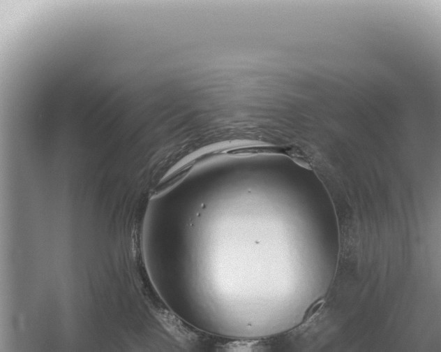 X0000054410090200508051751