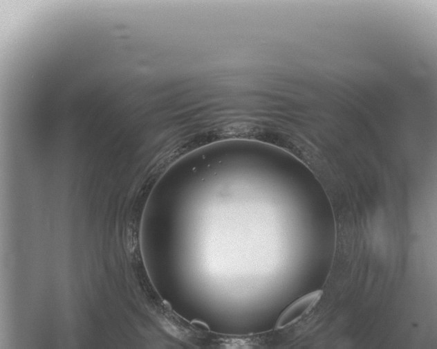 X0000054410091200508051751