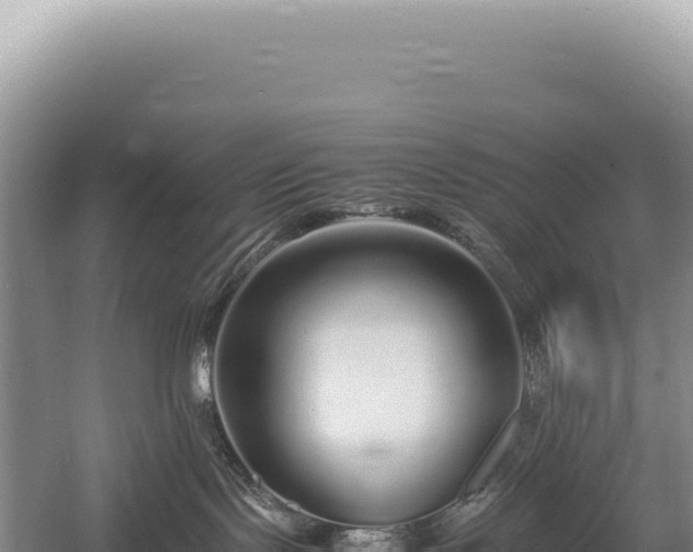 X0000054410095200508051751