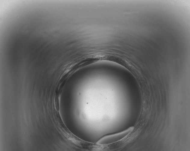 X0000054410096200508051751