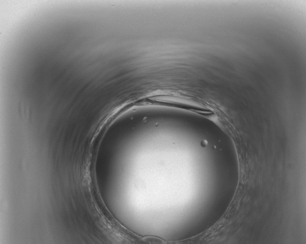 X0000054410098200508051750