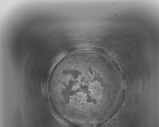 X0000054410099200508051750