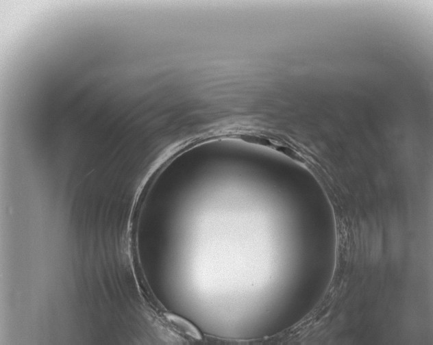 X0000054410100200508051750