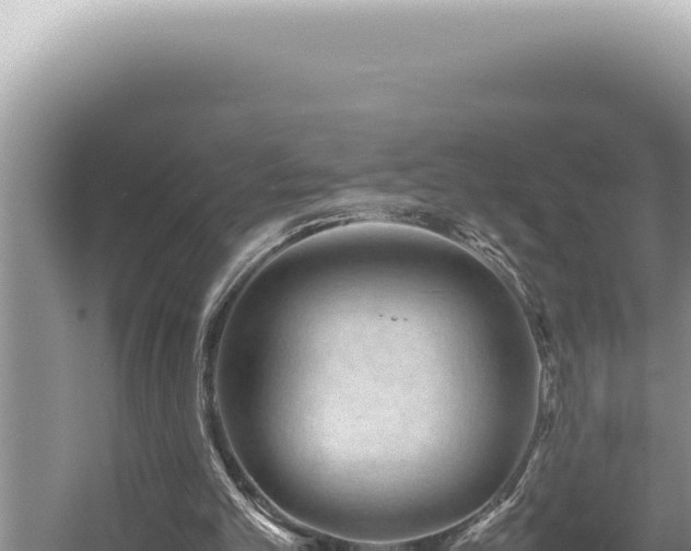 X0000054410101200508051750