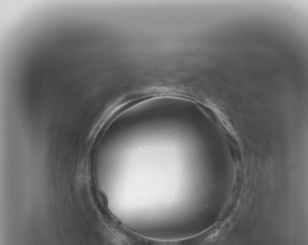 X0000054410103200508051750