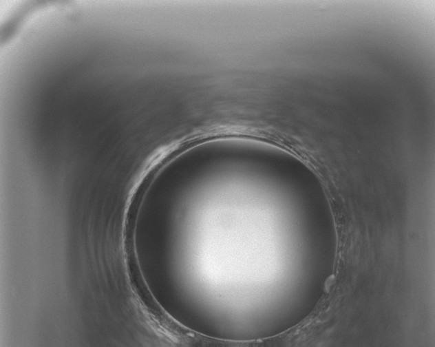 X0000054410104200508051750