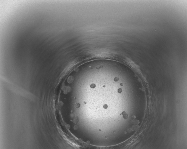 X0000054410106200508051750