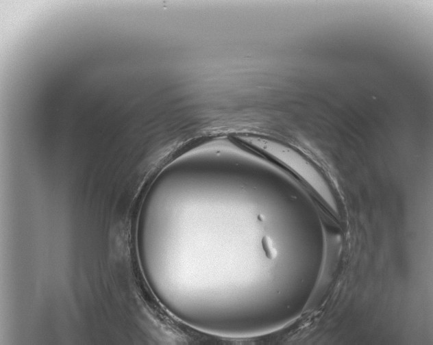 X0000054410107200508051750