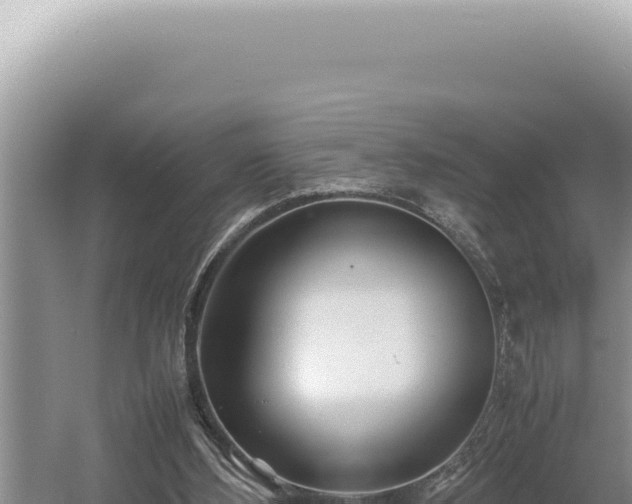 X0000054410108200508051750