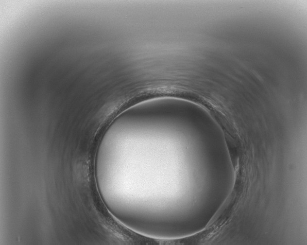 X0000054410111200508051750