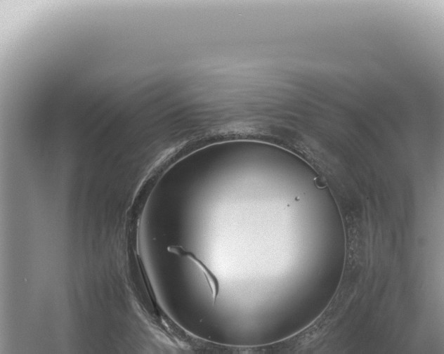 X0000054410112200508051750