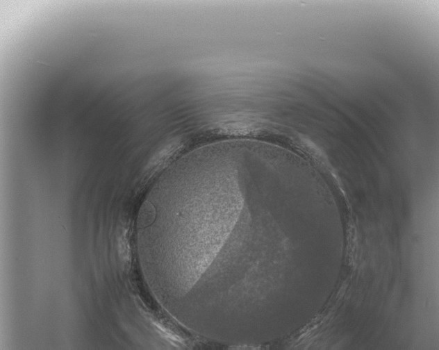 X0000054410114200508051750