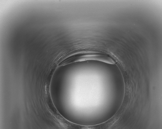 X0000054410117200508051750