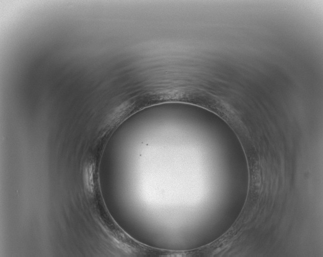 X0000054410118200508051750