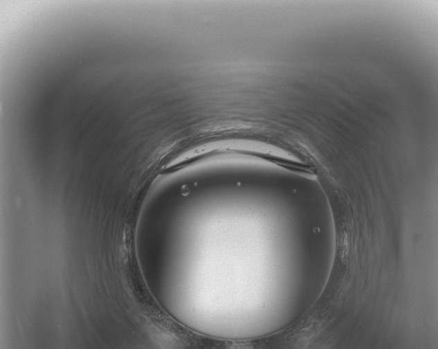 X0000054410119200508051750