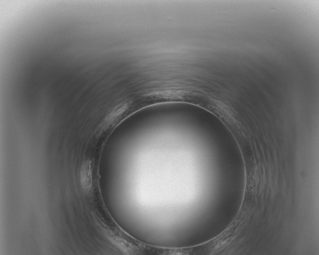 X0000054410120200508051750