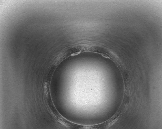 X0000054410121200508051750