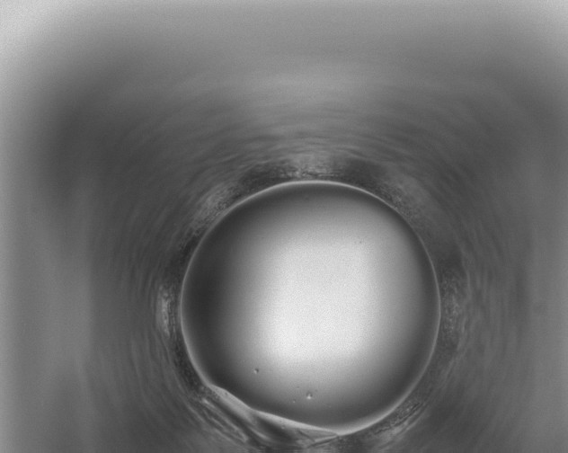 X0000054410123200508051750