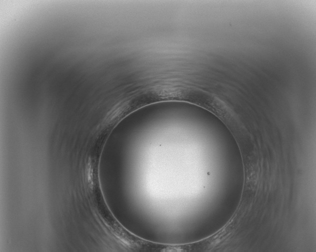 X0000054410124200508051750