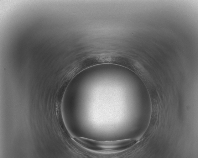 X0000054410125200508051750