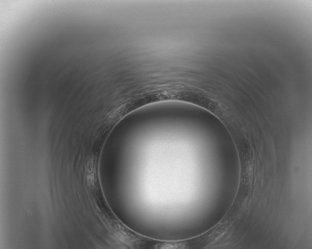 X0000054410129200508051750