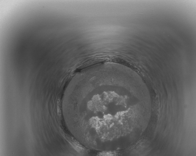 X0000054410131200508051750