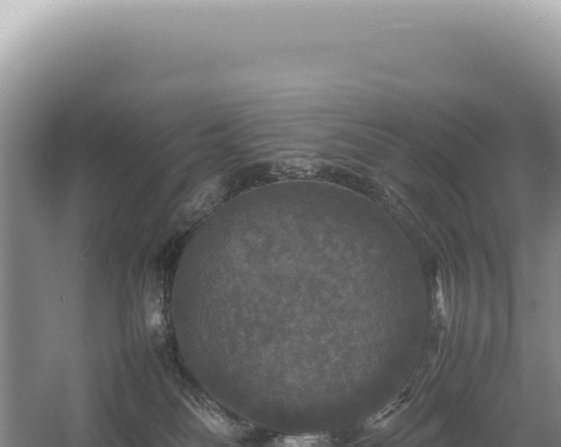 X0000054410134200508051749