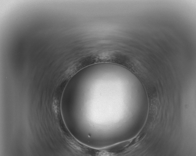 X0000054410135200508051749