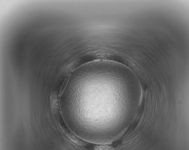 X0000054410137200508051749