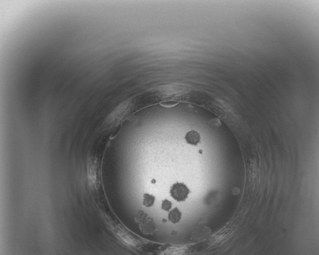 X0000054410138200508051749