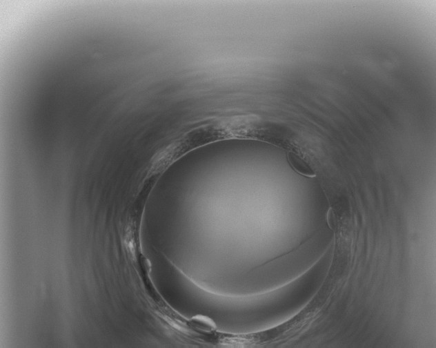 X0000054410139200508051749