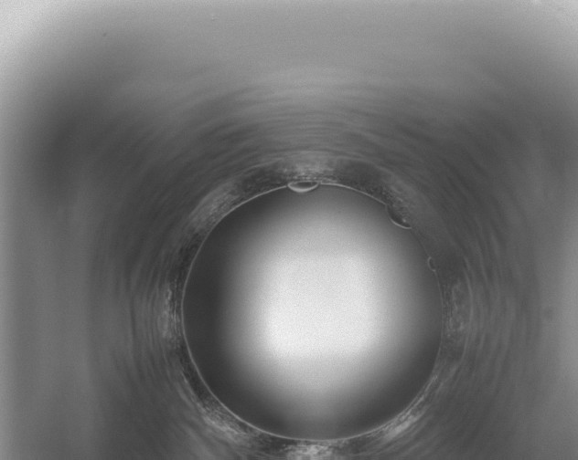 X0000054410140200508051749