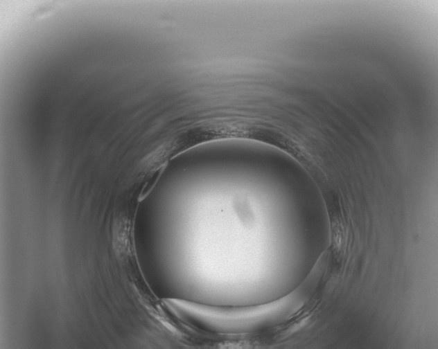 X0000054410141200508051749