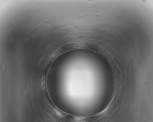 X0000054410144200508051749