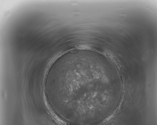 X0000054410145200508051748