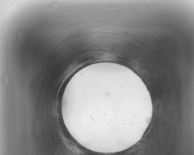 X0000054410146200508051749