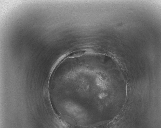 X0000054410147200508051749