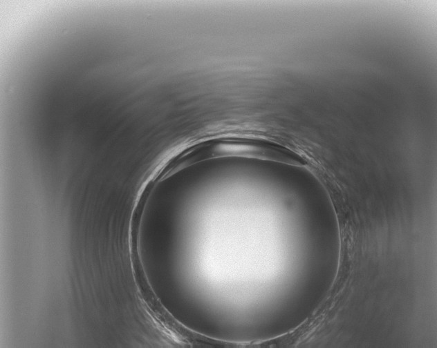 X0000054410148200508051749