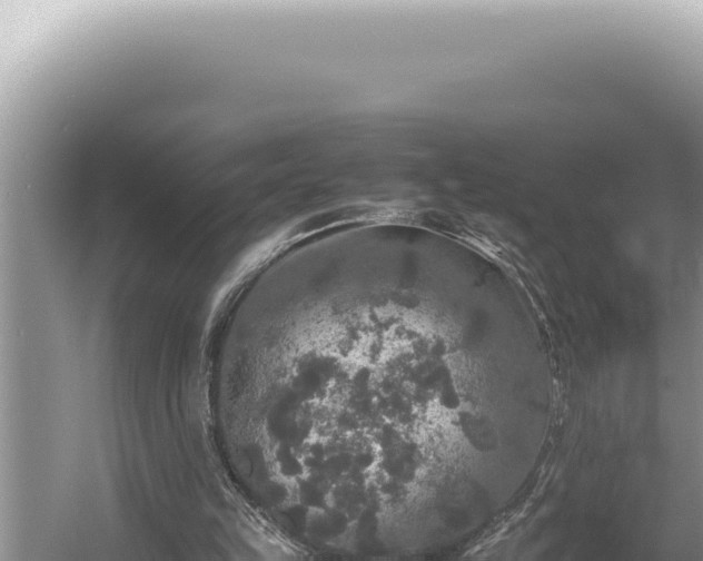 X0000054410149200508051749