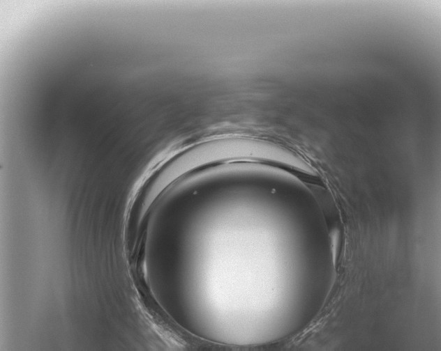 X0000054410150200508051749