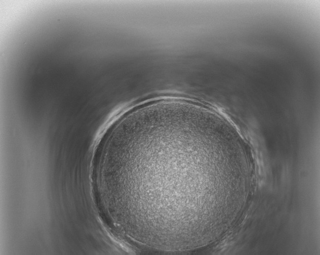 X0000054410151200508051749