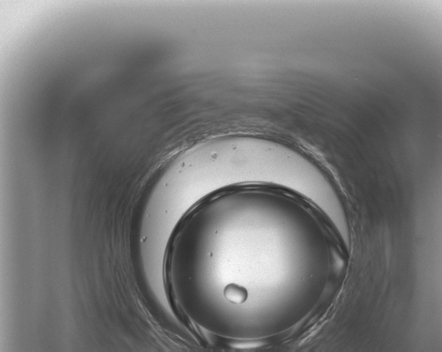 X0000054410154200508051749