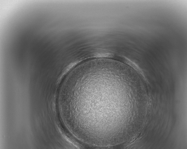 X0000054410155200508051749