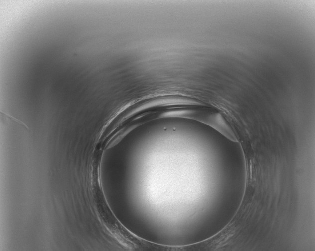 X0000054410156200508051749