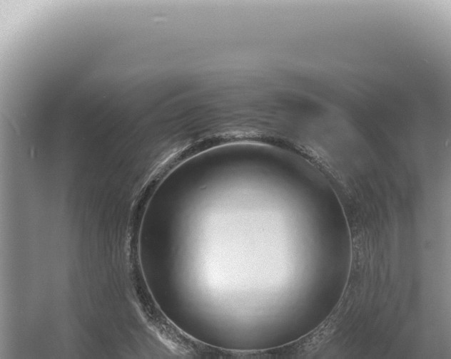 X0000054410159200508051749