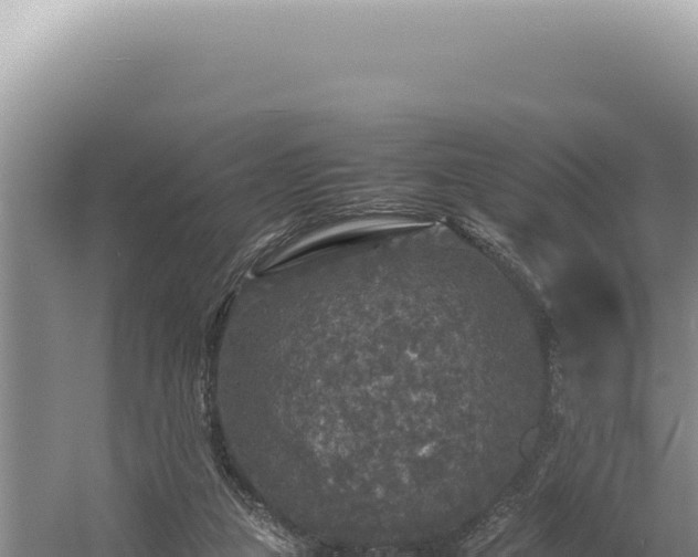 X0000054410161200508051749