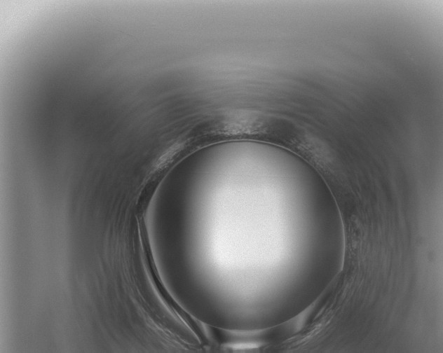 X0000054410164200508051749