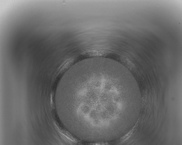 X0000054410166200508051749