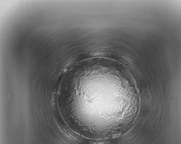 X0000054410171200508051749