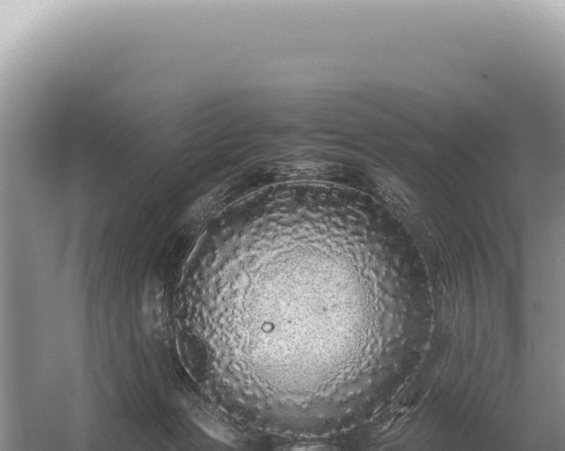 X0000054410173200508051749